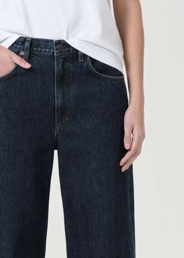 AGOLDE Low Curve Jean Pendulum 