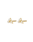 Deen Nicolette Studs Gold