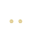 Misuzi Mini Shell Stud 14k Gold Filled