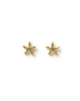 Arms of Eve Starfish Studs Gold