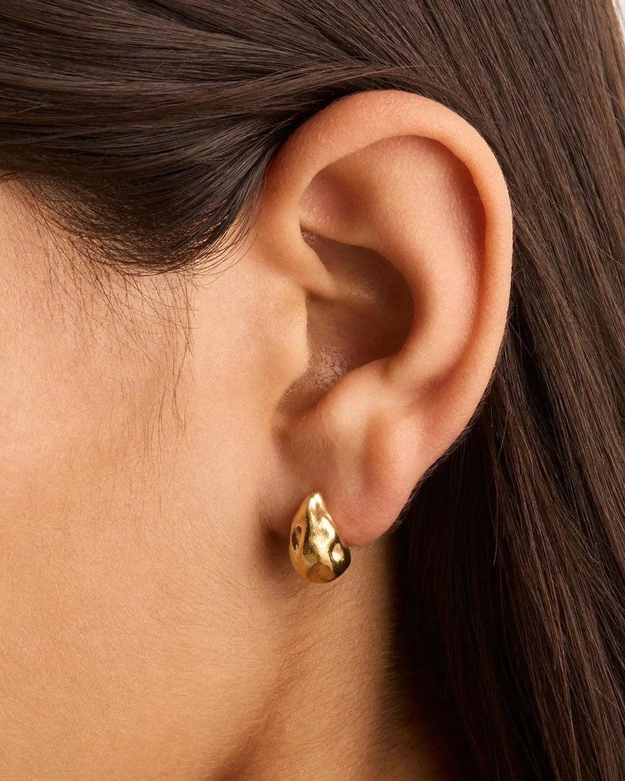 Charlotte 18k Gold Vermeil Wild Heart Small Earrings