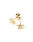 Arms of Eve Starfish Studs Gold